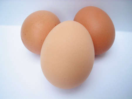 Three Brown Chicken Eggs