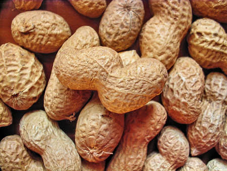 Peanuts with shells,close up