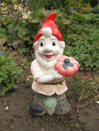 Garden gnomeの写真素材