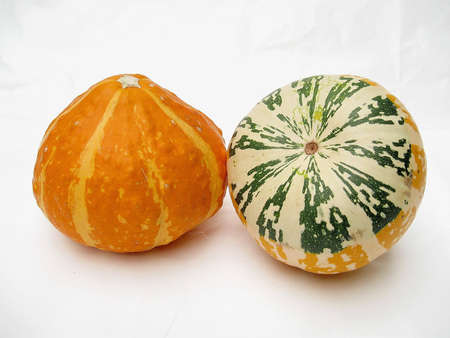 orange decorative pumpkinsの写真素材