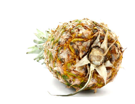 Pineapple isolated on white background. Ananas tropical fruitの写真素材