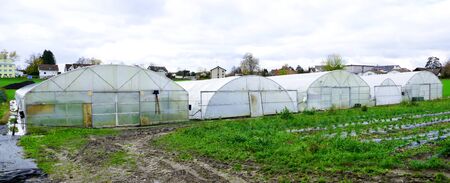 Domed greenhouse or tunnel on a farm in Switzerland.Industrial agriculture. Soilless cultivation of vegetables. Field of chives. Wide horizontal formatの写真素材