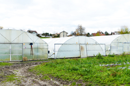 Domed greenhouse or tunnel on a farm in Switzerland.Industrial agriculture. Soilless cultivation of vegetables. Field of chives.のeditorial素材