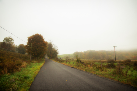 Foliage and fog on a rural country road in the Catskillsの写真素材