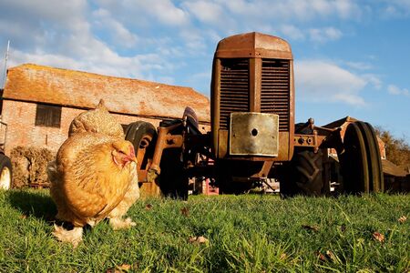 England farmの写真素材