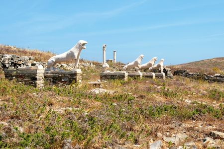 Lions terraceの写真素材