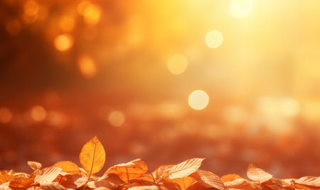 Autumn leaves background. Beautiful nature scene with sun rays and bokehの素材