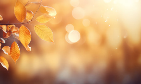 Autumn background with yellow leaves and bokeh lights. Nature background.の素材