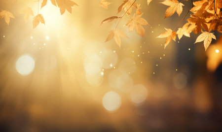Autumn background with bokeh defocused lights and falling leavesの素材