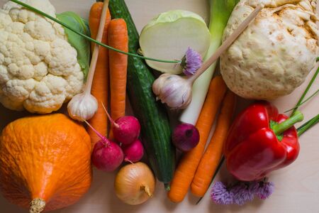 Set of different vegetablesの写真素材