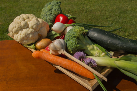Set of different vegetablesの写真素材