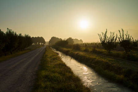 Natural meadow and trees. Morning fog over the landscape. Water is flowing by the country road.の写真素材
