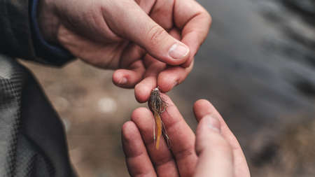 Fishing. Fish in fisherman hands with bait removing hookの写真素材