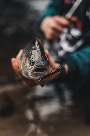 Fishing. Fish in fisherman hands with bait.の写真素材