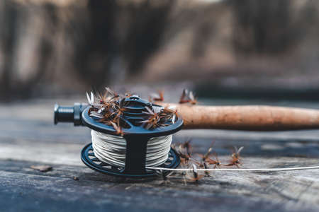 Fly fishing reel, rod and flies on wooden table with blur background close-upの写真素材