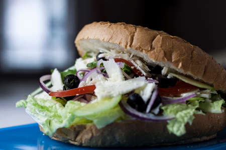 Vegetarian burger made of cheese, onion, olives and salad close-up blur backgroundの写真素材