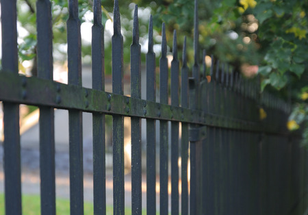 rust iron fence in sunny summer  day
