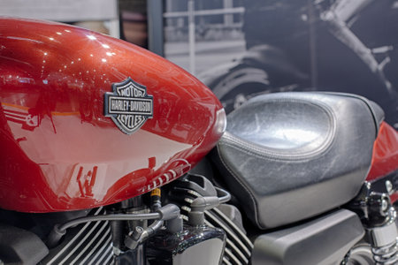 BRNO, CZECH REPUBLIC-MARCH 4,2016: Close up  fuel tank of motorcycle Harley Davidson Street 750   on...