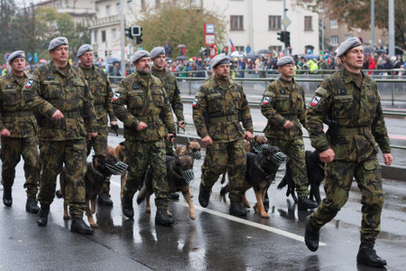 European street, Prague-October 28, 2018: Soldiers with service dogs  are marching on military...