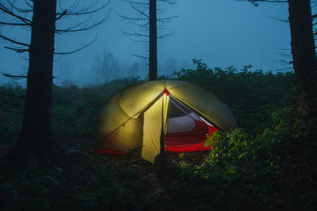 Green lightweight freestanding three-season 2-person tent on forest in the morning after rain  in...