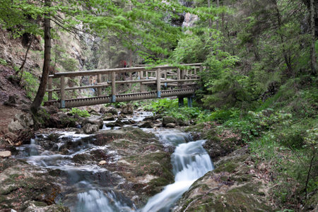Hiking area, Janosik holes, valley consisting of few narrow gorges located in nature reserve Rozsutec,  with numerous waterfalls.の写真素材