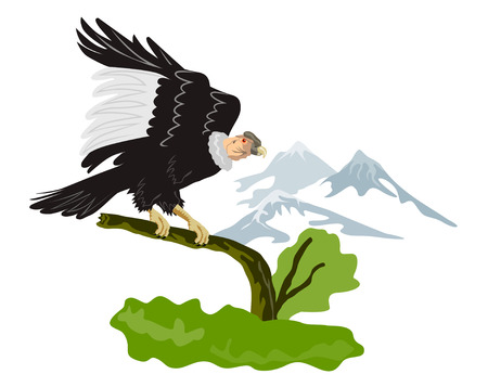 Condor perching on branch with mountainsのイラスト素材