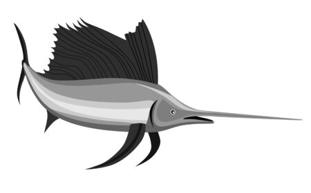 Sailfish on white backgroundのイラスト素材