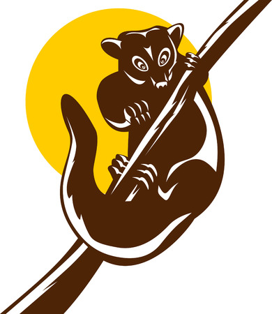 Possumのイラスト素材
