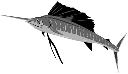 Sailfishのイラスト素材
