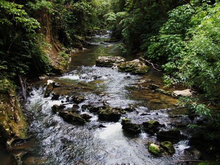 River somewhere in New Zealand
