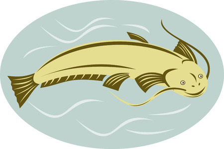 Catfishのイラスト素材