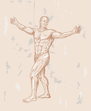 hand sketched illustration of the male human anatomy done in renaissance style.の写真素材