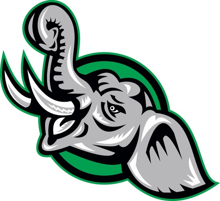 Illustration of an angry african bull elephant head set inside circle done in retro style のイラスト素材