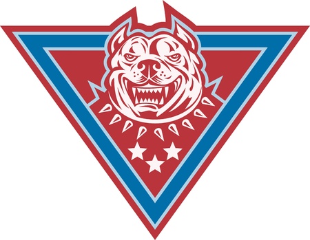 Illustration of a pitbull mongrel pet dog canine head viewed from front with stars set inside triangle done in retro style のイラスト素材