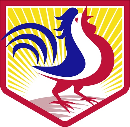 Illustration of a rooster cockerel crowing facing side set inside crest shield with sunburst done in retro styleのイラスト素材