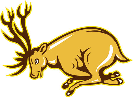 Illustration of a stag deer buck head facing side charging attacking on isolated white background done in cartoon style.のイラスト素材
