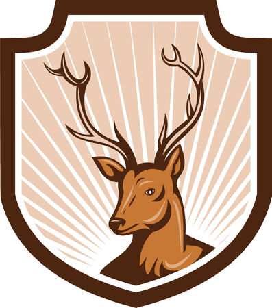 Illustration of a stag deer buck head facing front set inside shield crest done in cartoon style.のイラスト素材