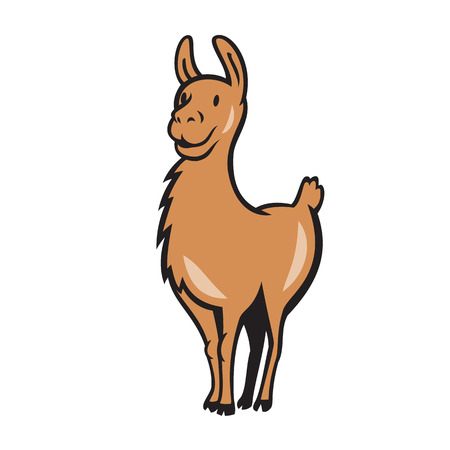 Illustration of a llama standing facing front done in cartoon style on isolated background.のイラスト素材