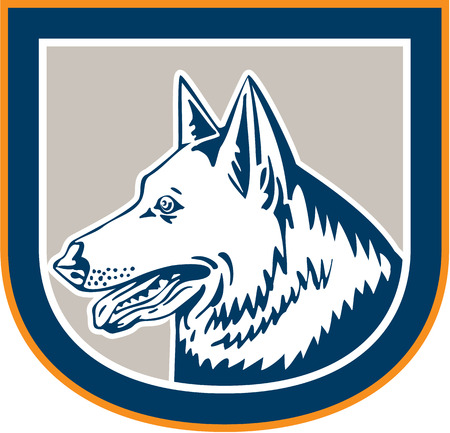 Illustration of a german shepherd dog head mascot with tongue out side view set inside crest shield on isolated background done in retro style. のイラスト素材