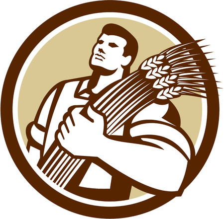 Illustration of wheat farmer looking up holding crop wheat harvest set inside circle on isolated background done in retro style.のイラスト素材