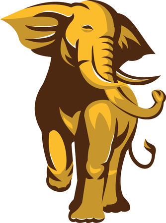 Illustration of an african bull elephant charging facing front on isolated white background  done in retro style.のイラスト素材