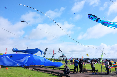 JUN. 28- AUCKLAND: Kites of all forms and sizes fly in the clear sky during the Puketapapa Manu Aute Kite Day at Winstone Park in Mount Roskill, Auckland, Zealand taken on Sunday, June 28, 2015.のeditorial素材