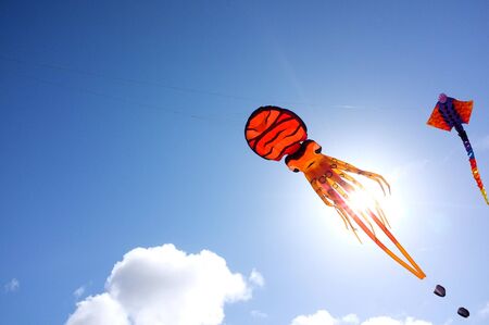 JUN. 28- AUCKLAND: Kites of all forms and sizes fly in the clear sky during the Puketapapa Manu Aute...