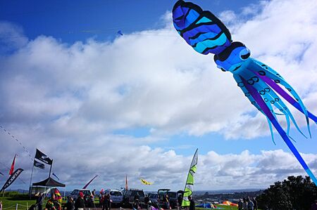 JUN. 28- AUCKLAND: Kites of all forms and sizes fly in the clear sky during the Puketapapa Manu Aute Kite Day at Winstone Park in Mount Roskill, Auckland, Zealand taken on Sunday, June 28, 2015.のeditorial素材