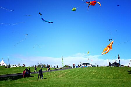 JUN. 28- AUCKLAND: Kites of all forms and sizes fly in the clear sky during the Puketapapa Manu Aute Kite Day at Winstone Park in Mount Roskill, Auckland, Zealand taken on Sunday, June 28, 2015.のeditorial素材