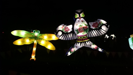 AUCKLAND, FEB. 19 - Dragonfly and bird, one of the 800 spectacular illuminated and handmade Chinese lanterns on display at the 2016 Chinese Lantern Festival at the Auckland Domain, Auckland, New Zealand on Friday, Feb. 19, 2016.のeditorial素材
