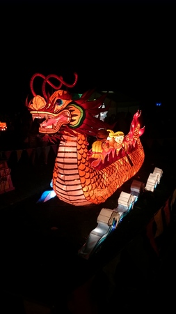 AUCKLAND, FEB. 19 - Dragon Boat, one of the 800 spectacular illuminated and handmade Chinese lanterns on display at the 2016 Chinese Lantern Festival at the Auckland Domain, Auckland, New Zealand on Friday, Feb. 19, 2016.のeditorial素材