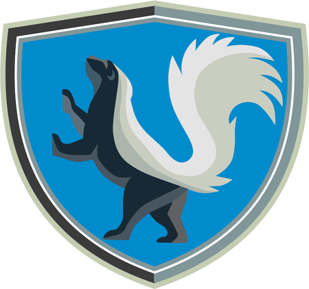 Illustration of a skunk prancing viewed from the side set inside shield crest set on isolated background done in retro style.のイラスト素材