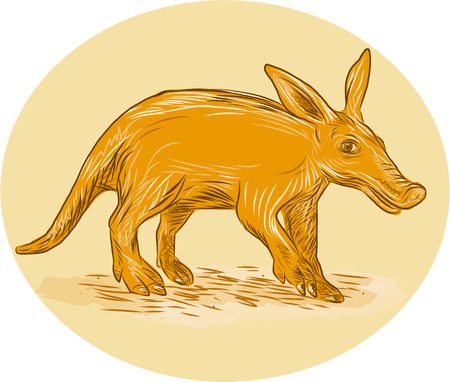 Drawing sketch style illustration of an aardvark or African ant bear or Cape anteater, a medium-sized, burrowing nocturnal mammal native to Africa viewed from side set inside circle viewed from the side.のイラスト素材