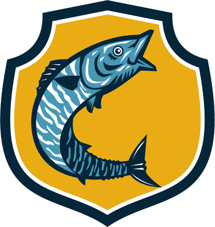 Illustration of a wahoo , Acanthocybium solandri, a scombrid fish jumping up viewed from the side set inside shield crest on isolated background done in retro style.のイラスト素材